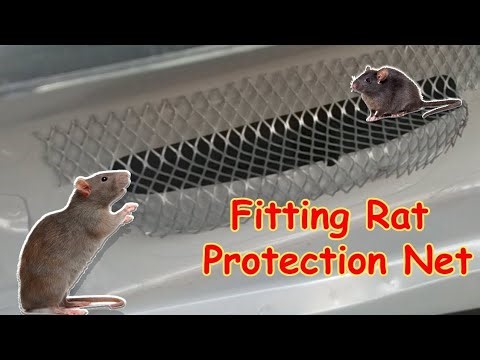 Fitting Rat Protection Net in Car #marutisuzuki rat mase protection Net jali fitting in baleno car