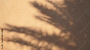 Abstract shadow of palm texture leaves from early morning sunlight shining on interior white wall, Full HD video in ProRes 1920x1080. background of leaf on the wall