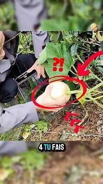 11 astuces simples qui vont te faciliter la vie !