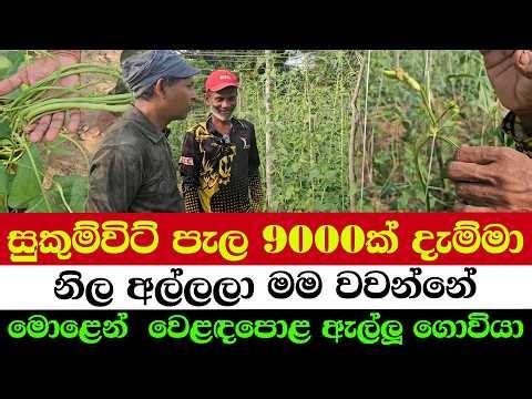 This Farmer Prints Money