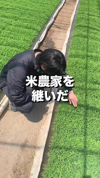 @komenorikyu ◁ プロフィールはこちら🌾 現在、利休の心(つや姫)・利休の情(ひとめぼれ)再販中です✨ 数量限定・先着順のため、お早めにお買い求めください🙇(売り切れ次第終了です) #農業 #農家 #米 #つや姫 #お米 #米農家