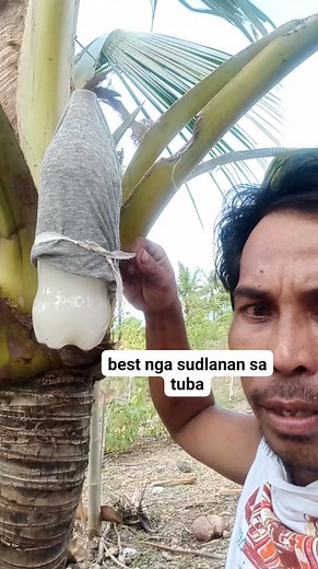 179 reactions · 9 comments | best nga sudlanan sa tuba #cleanwine #fbreels #tutorialreels #coconutwineprocess @highlight | Timoteo Contineta | Facebook