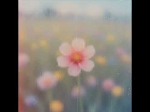 꽃잎이 시들어 가고 있다