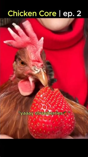 Chicken core | ep. 2 🐔