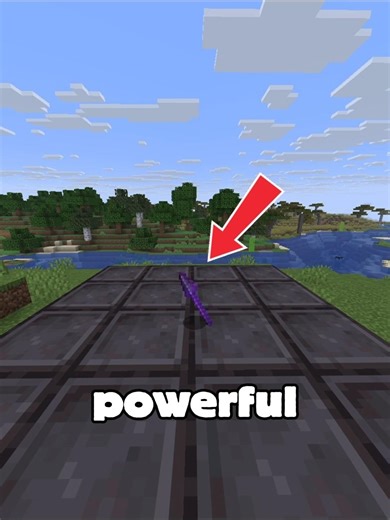 Level 255 Spear #shorts #minecraft