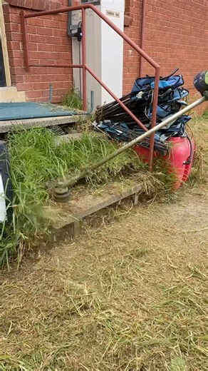 He was not going to lose his job unless his lawn got mowed. #satisfying | Tim The Lawnmower Man