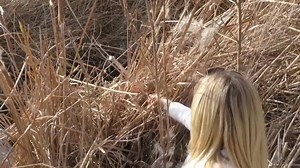 magic is everywhere | Markus Rothkranz