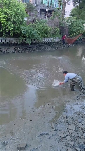 Mastering Casting Net Fishing Techniques