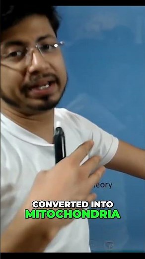 Endosymbiotic Evolution: How Mitochondria and Chloroplasts Formed