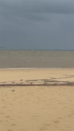 Entre la fuerza del huracán Priscila y el poder de la naturaleza: una tortuga logra desovar en Playa de Cabo San Lucas | El Mundo Digital