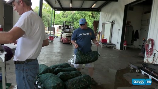 778K views · 16K reactions | Andrew Zimmer Eating Stuffed Alligator | Bizarre Foods | Facebook