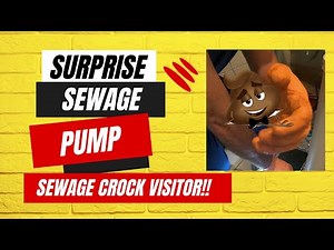 Sewage ejector grinder pump float switch replacement. Conventional septic system ejector pump