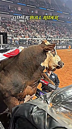 🐂 Others Bull Rider 😎 vs THIS ONE 💀🗿#trollface #respect #trendingshorts #memes #shorts