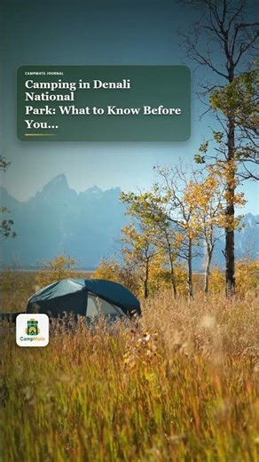 Camping in Denali National Park: What to Know Before You Go