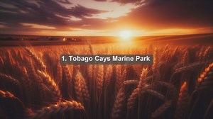 Discover the Stunning Landscapes of Saint Vincent and the Grenadines: Top 10 Must-Visit Destinations