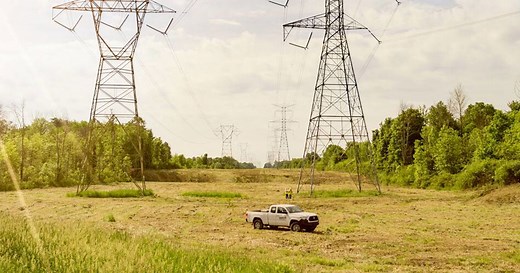 Davey Utility Solutions | Providing Solutions for More Than a Century | Davey Tree