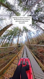 The Fforest Coaster is a 10/10 any time of year! 🌿 | Zip World
