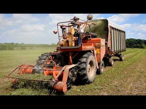 Vintage Hay Forage Harvesting