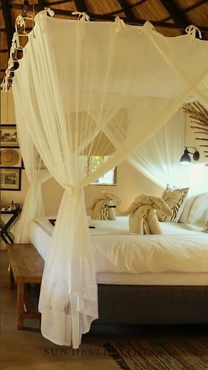 Escape To Love: A Romantic Retreat Like No Other! 😍✨ #safari