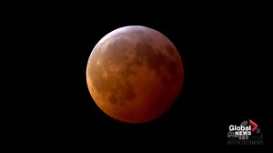 On Sunday night, the moon, Earth and sun lined up to create a "super blood wolf moon" lunar eclipse. This time lapse video shows the magnificence of the natural phenomenon, which won't happen again until 2021. Read more: https://globalnews.ca/news/4869805/super-blood-wolf-moon-eclipse-world/ | Global News