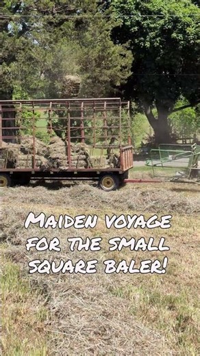 We baled small square bales for a neighbor, so got this baler out for its 1st run of 2026! #hay #ag