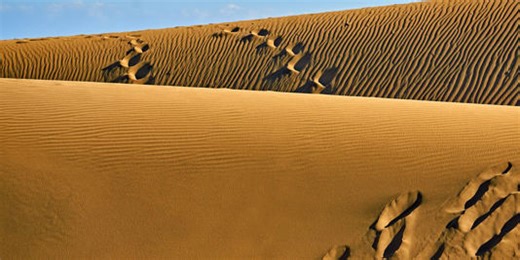 Scientists Found 7,000-Year-Old Mummies in the Desert That Don’t Share DNA With Modern Humans