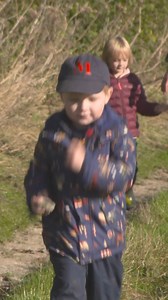 2.1K views | Let's look at how they store the harvested maize  on...