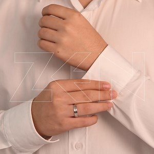 ZEN1-v