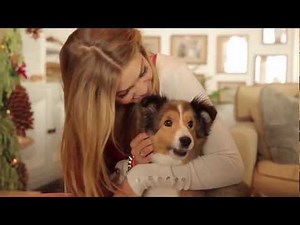 Interview with Vogue Italia by Rony Alwin