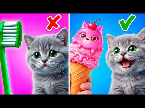 We Tested This Meow Gadgets for Cats—Watch the Results! By Resting Purr Face Live