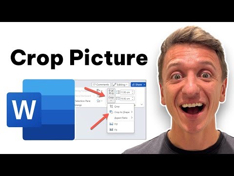 How To Crop Picture In Microsoft Word (Quick And Easy Guide)