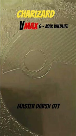 Charizard v max G-Max Wildlife please like and subscribe ♥️