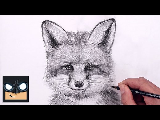 How To Draw a Fox | Sketch Tutorial (Step by Step) - Videos For Kids