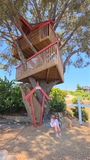 1.1K views · 17 reactions | Epic Treehouse in Dana Point!  | Yellow Productions Travel Guides | Facebook