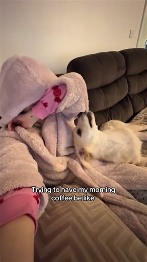 The teething stage isn’t for the weak 🙃 #puppydog #teething #pup #comedy #dog