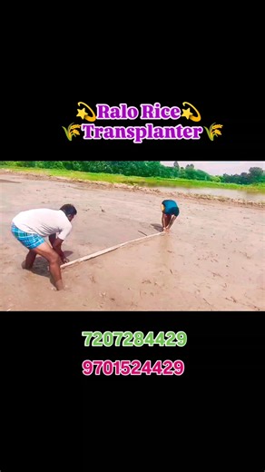 Ralo Rice Transplanter Machine . . #ralokisan #bestqualityinricetransplanters #raloagrogenetics #viralreels #viralreelsfacebook #kisanlife #trendingaudio #lowprize #village #agriculture | Ralo Naresh