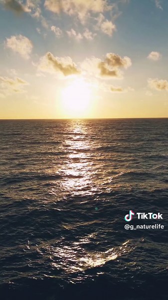 Let Her Go.... Song by Passenger #fyp #tiktoklongs #lyrics #passenger #lethergo