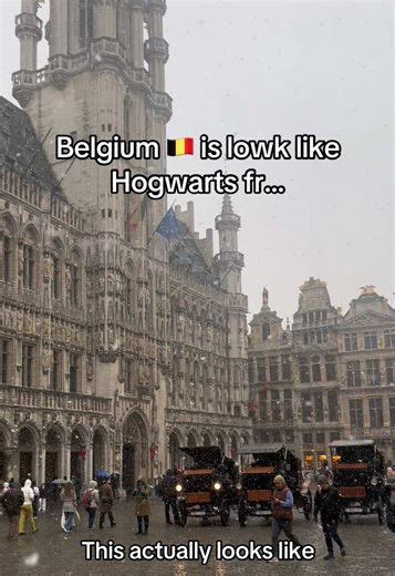 #belgium🇧🇪 | Belgium