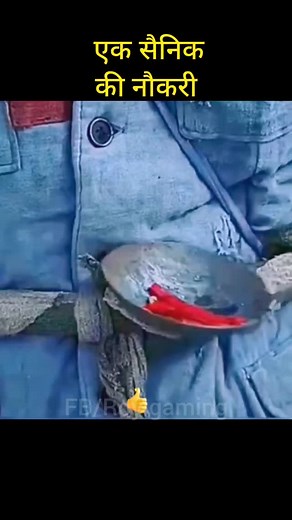 43K reactions · 43 shares | Short Explain in Hindi Mr.narrator#short #story #explain #reelsfacebook #Explained #rajasthaniji #movies#instagram | Priya Rani | Facebook