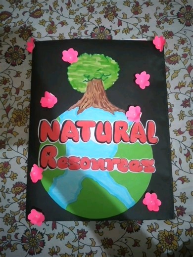 class = 9 project on Natural Resources 🏕💗