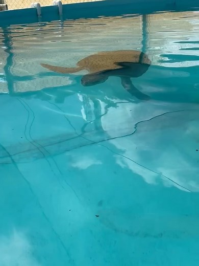 Sarah Baeumler on Reels