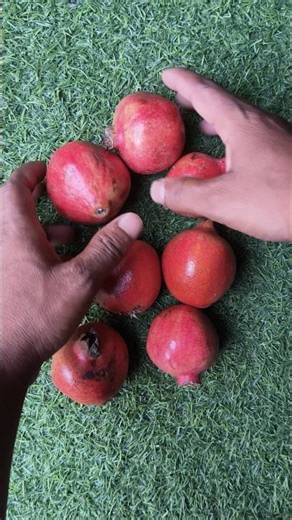 Pomegranate Unboxing opening ASRL #youtubeshorts #reelsvíral #trendingshorts