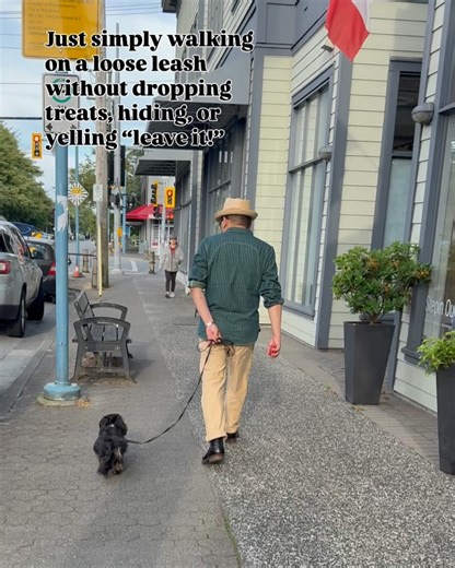 1.2K views | Perfect Companion K-9 Dog Training on Reels | Facebook