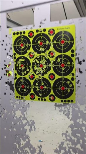 👀 Samy 👊🏻 OBLITERATES 💣 the Target (Adler Arms RF224 TAC Mag Dump) .22LR Semi Auto Rifle 🔫