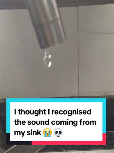 Unusual Sounds from My Sink: A Chilling Experience