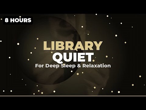 Library Rain Ambience for Deep Concentration | 8H