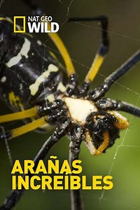 Incredible Spiders (2016) - Movie