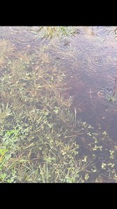 The neverending rain of 2024 continues in Kerry ☔️☔️☔️ | Weather Alerts Ireland