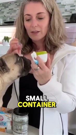 Holistic Vet’s 2 Ingredient Dog Toothpaste