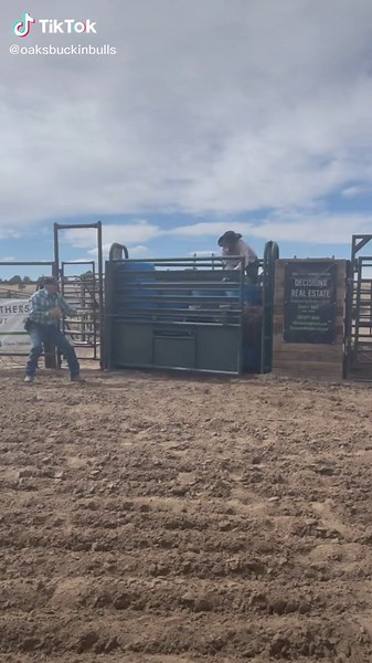 First trip on some of the yearlings #oaksbuckinbulls #SmellLikeIrishSpring #americanbuckingbulls #yearlings #cows #rodeotok #buckingbulls #foryou